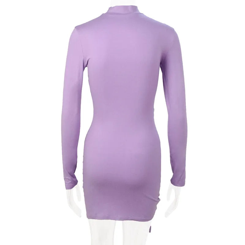 Bodycon Dresses- High-Neck Long Sleeves Bodycon Ruched Mini Dress- - Chuzko Women Clothing