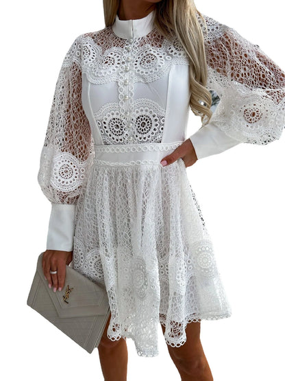 Mini Dresses- Sheer Lace Bishop Sleeve A-Line Mini Dress