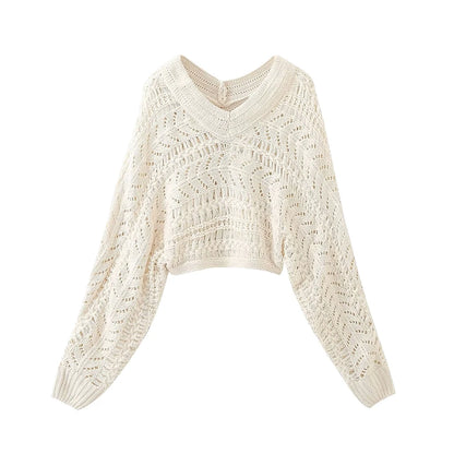 Pullover Sweaters - V-neck Crop Knitted Women Pullovers – Chic & Fancy