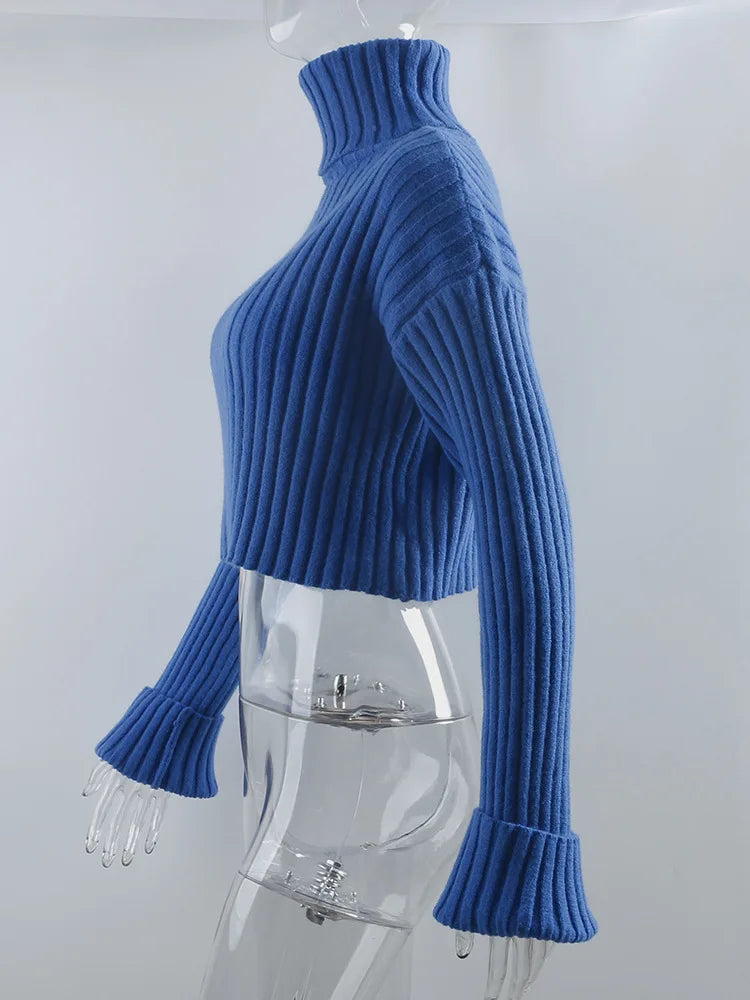 Sweaters - Cozy Blue Turtleneck Crop Sweater Loose Jumper