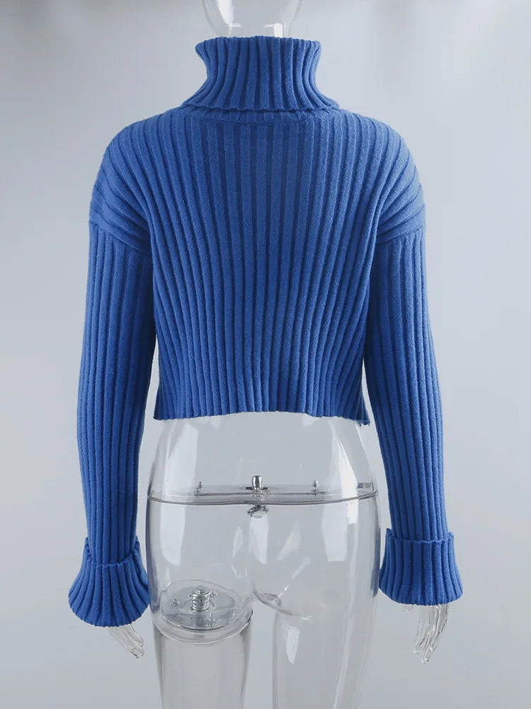 Sweaters - Cozy Blue Turtleneck Crop Sweater Loose Jumper